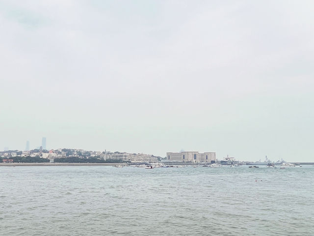 🌊 Qingdao's Emerald Invasion: When the Sea Turns into a Velvet Green Wonderland! 🌿