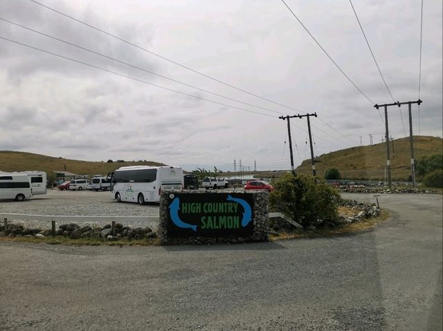 🇳🇿 New Zealand Road Trip - เล่าเรื่องด้วยภาพ#13