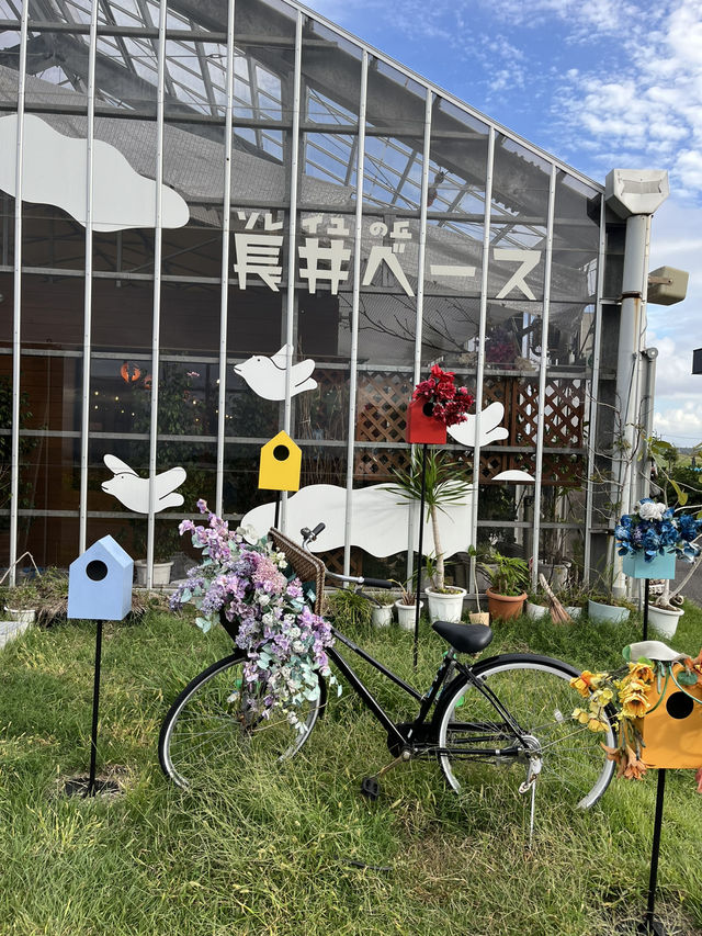 🌞海と太陽のテーマパーク！ソレイユの丘で過ごす最高の1日🌞