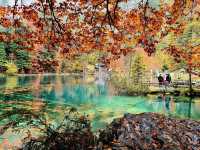 Trout farm and restaurant