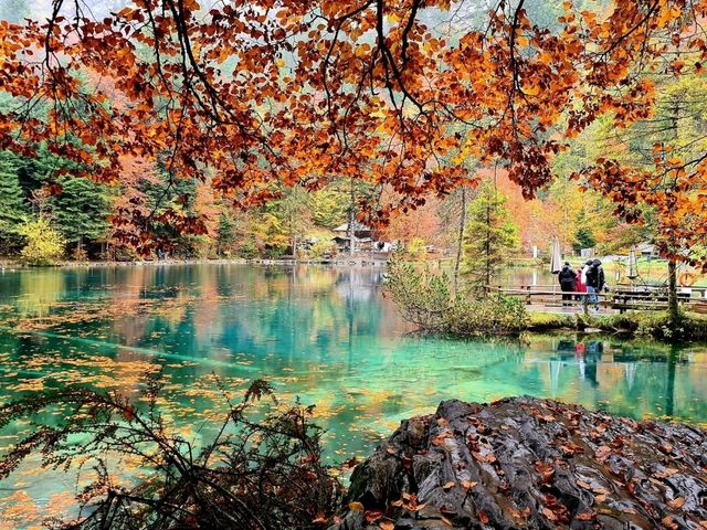 Trout farm and restaurant