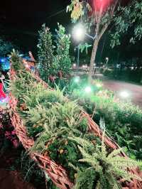 Iskandar Puteri Bamboo Display:  Must-Visit Insta-Worthy Spot 