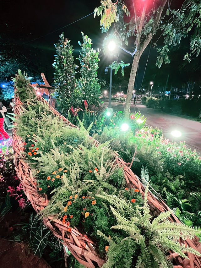 Iskandar Puteri Bamboo Display:  Must-Visit Insta-Worthy Spot 