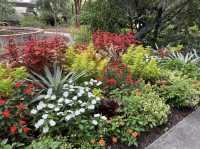 Brookgreen Gardens