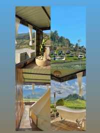 ที่พักมีชื่อว่า Stay Doi อยู่ อ.แม่แตง จ.เชียงใหม่