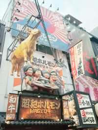 SEVENTEEN 2025日本巨蛋巡演終極攻略｜搶票、交通、住宿一篇就懂！