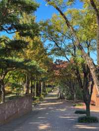 가을을 느끼기 좋은 서울 공원 추천