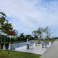 서울근교카페추천💕 커피 베이커리 맛집 카페디