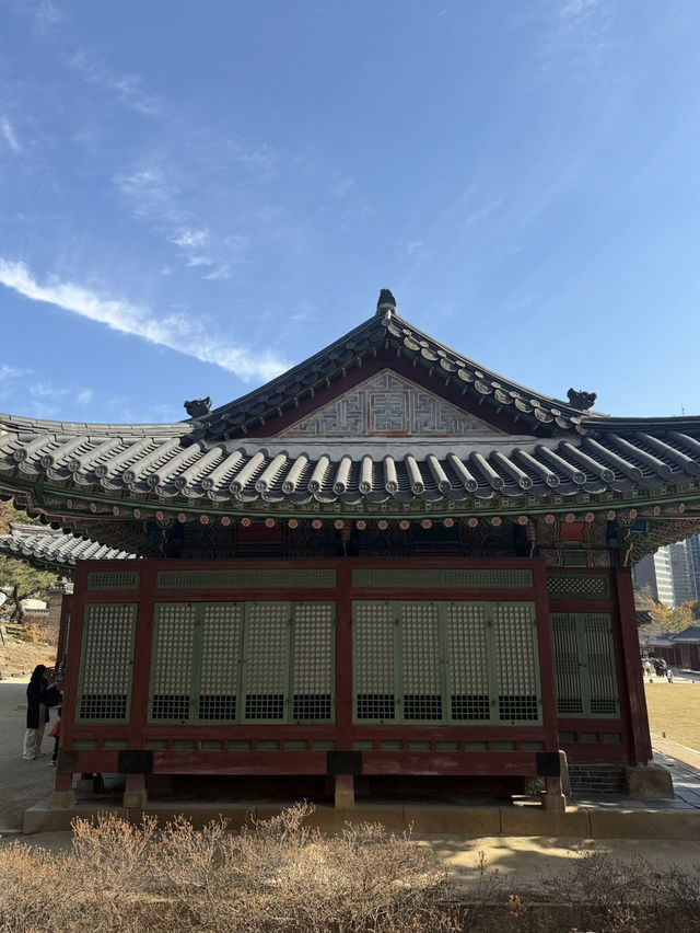 서울에서 만난 가장 아름다운 가을, 덕수궁 단풍 산책