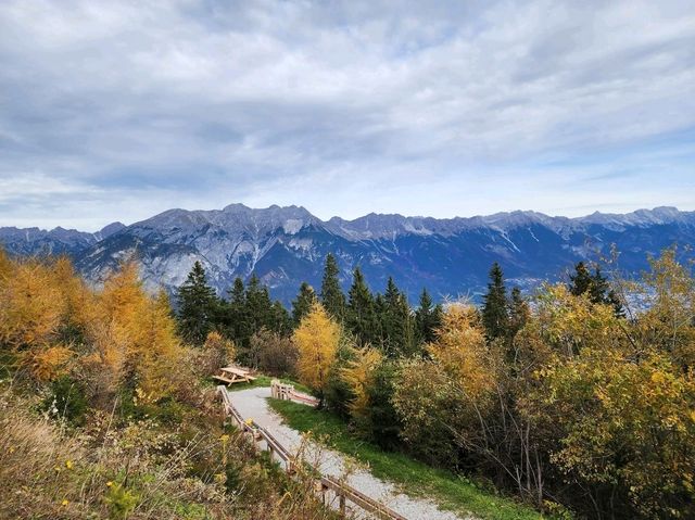 Mountain Magic Alps✨