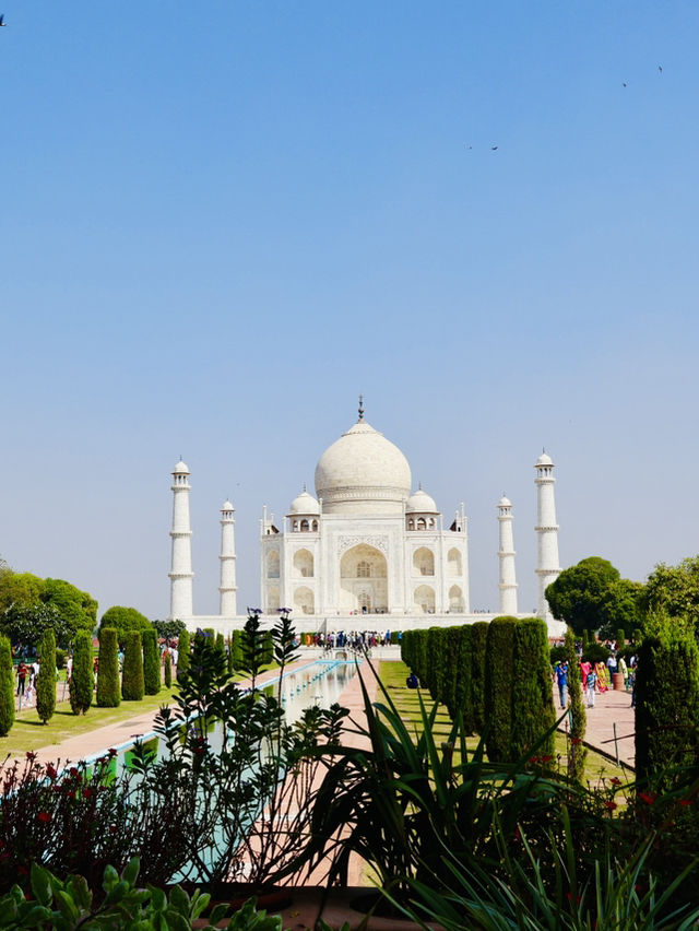 India’s Majestic Taj Mahal ✨🇮🇳 India’s Majestic Taj Mahal ✨🇮🇳