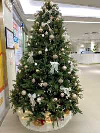 전주 에코시티 크리스마스 대형트리가 있는곳💓