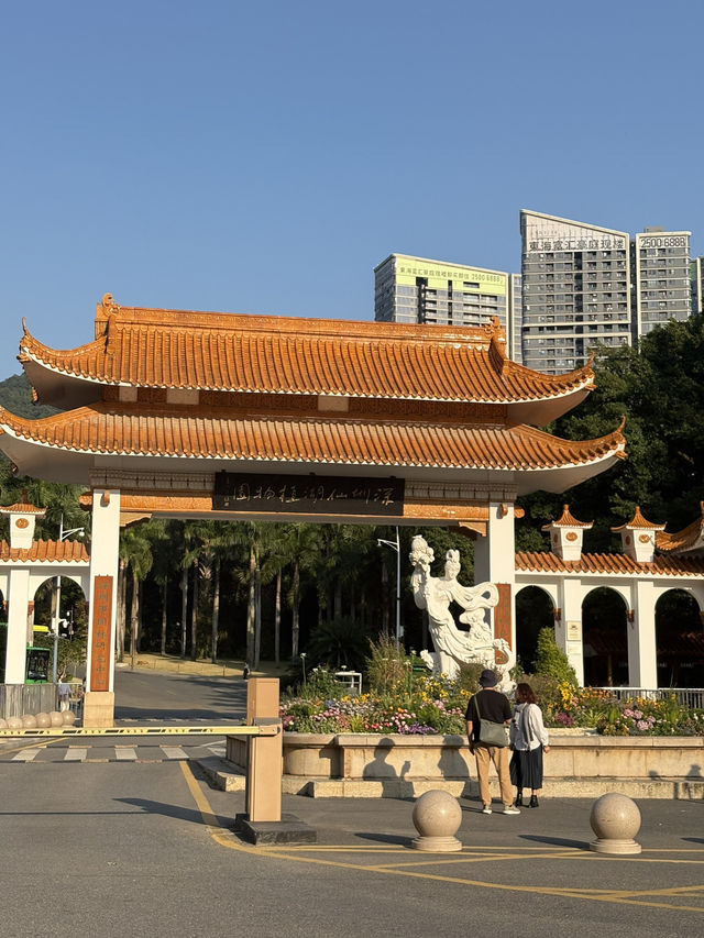 深圳仙湖弘法半日遊,自然療癒與禪意體驗 深圳仙湖弘法半日遊,自然療癒與禪意體驗