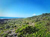 Coastal Holiday Stop Before Christmas Gift Hunting