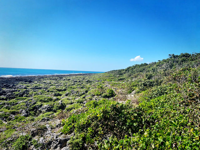 Coastal Holiday Stop Before Christmas Gift Hunting Coastal Holiday Stop Before Christmas Gift Hunting