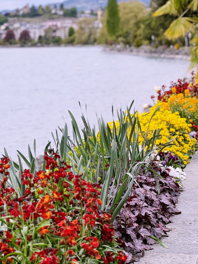 Lake Geneva: Switzerland’s Dreamy Escape You’ll Never Forget 💎🌄