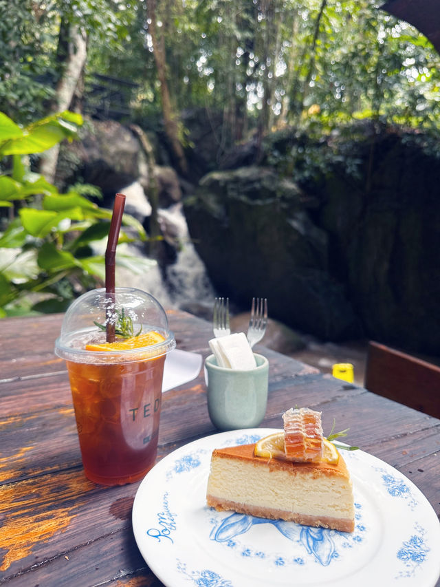 Nature Retreat Inn🍃