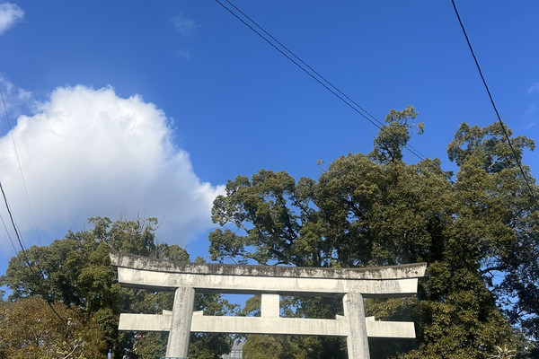荒田八幡宮(あらたはちまんぐう) | Trip.com 鹿児島市