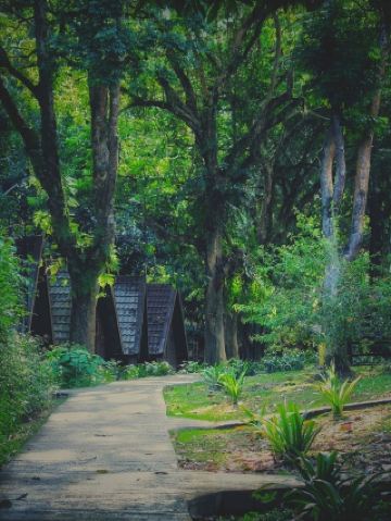 ムティアラ・タマン・ネガラ — 熱帯雨林の中心で過ごす特別な滞在