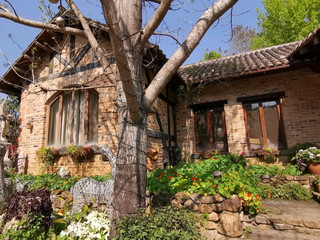 文心園，漂亮的花園餐廳