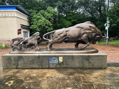 A Hidden Gem in Guangzhou — A Solo Stroll for the Artsy Soul
