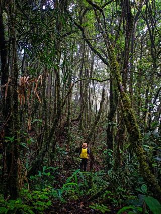 2つの山頂、一生の思い出に残る山の冒険。