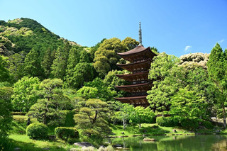 รีวิวเจาะลึก Ruriko-ji Pagoda ชมมหาเจดีย์ห้าชั้นไม้โบราณริมสระน้ำสะท้อนเงาสุดอลังการที่ยามากุจิ 🏯✨