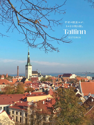 A city I'll never forget 02 | Tallinn, Estonia 🇪🇪
