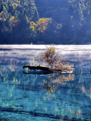 10.23 Jiuzhaigou was absolutely lit 🔥 