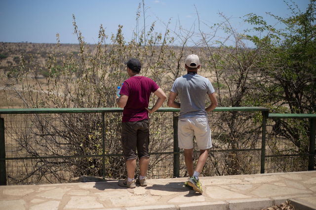 4 days Tanzania private safari 