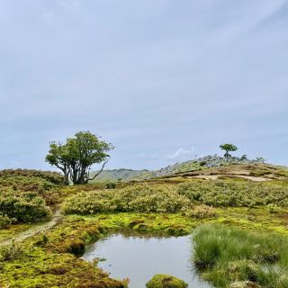 【젤다의 세계】 숨겨진 명소, 간사이의 명산 령선산.