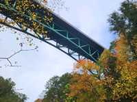 So much beauty to see at Cut River Bridge