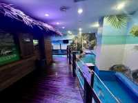 The Shore Oceanarium 