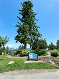 Vancouver한인타운 근처에 한번쯤 꼭 가볼만한 Burnaby Mountain Park👍🏻
