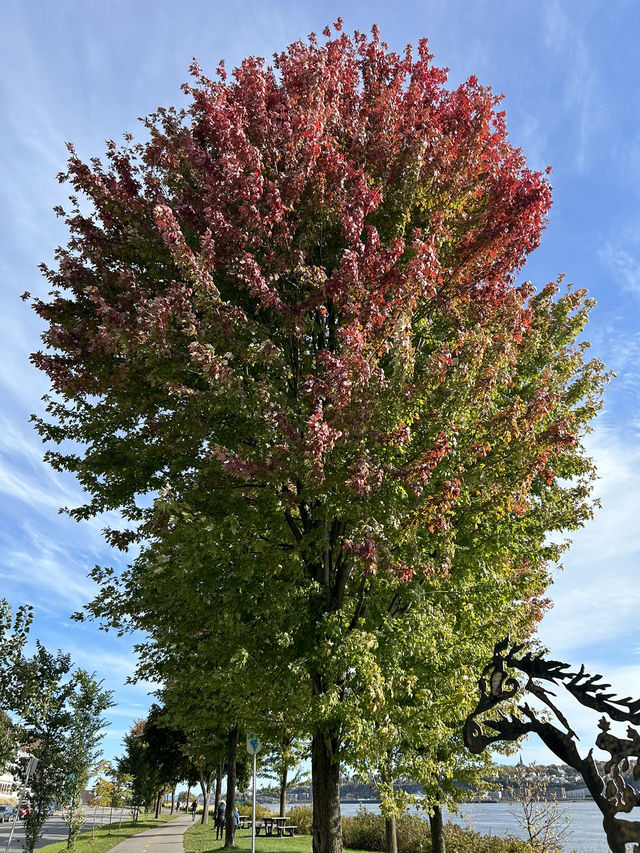 カナダ🇨🇦 秋のケベックでの街歩き🍁
