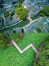 �� Explore China Shaoxing with Lu Xun, a new parent-child summer escape idea get✔