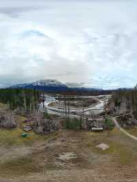 ชมวิถีชีวิตปลาแซลมอนว่านทวนน้ำ 