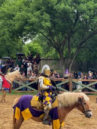 Step Into a Real-Life Fantasy World Near Dallas