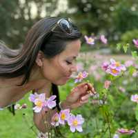 Botanical and Fengshui Garden in Frankfurt