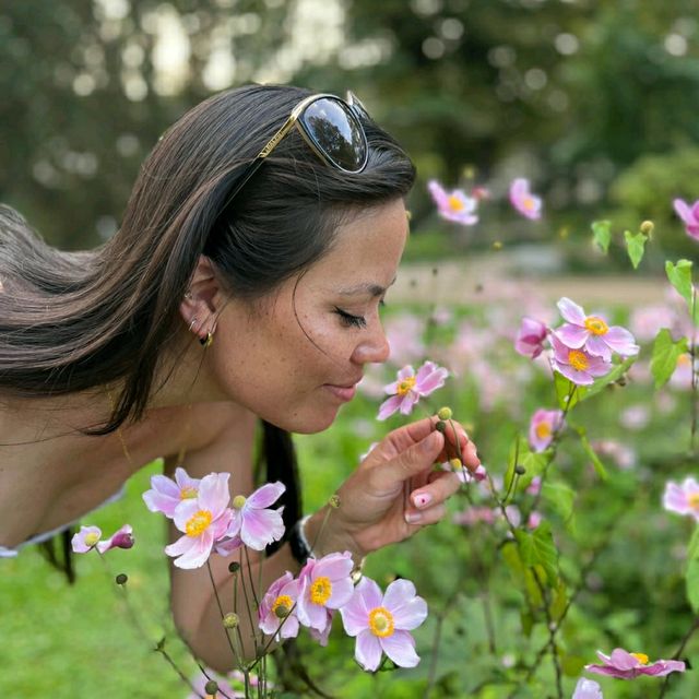 Botanical and Fengshui Garden in Frankfurt