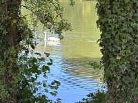 Grovelands Park London 🇬🇧