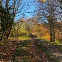 Fairlie moor loop trail