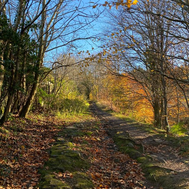 Fairlie moor loop trail