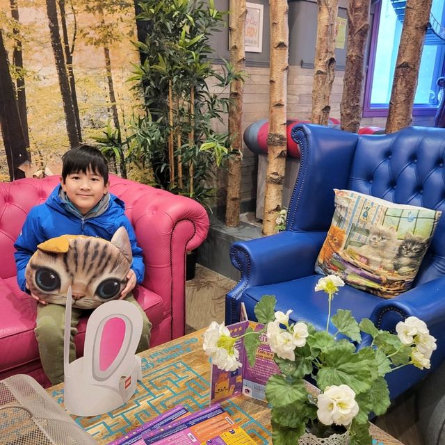 英國人氣貓Cafe~ Kitty Cafe