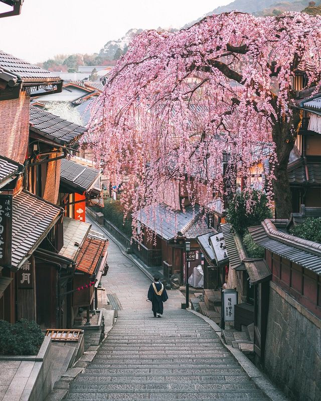 Kyoto: Cultural Odyssey