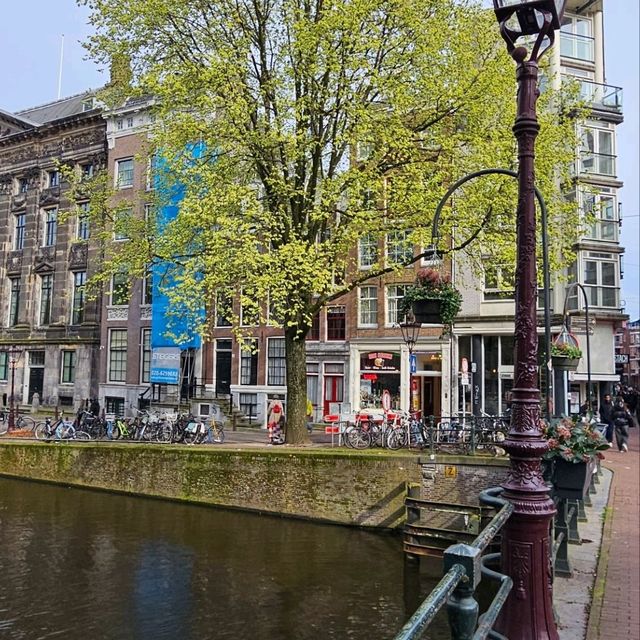 네덜란드 암스테르담 여행꿀팁
