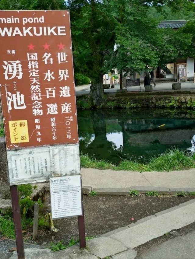 🌸忍野八海🌸環境優美的小村莊🌸