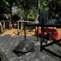 Prison Island trip 