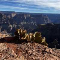 Spectacular Grand Canyon