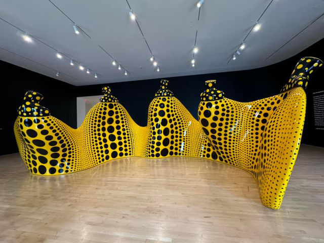 It was a great trip at San Francisco Museum of Modern Art 🇺🇸